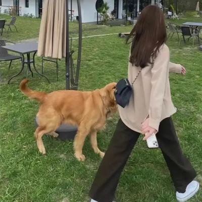 霸王妖姬海报