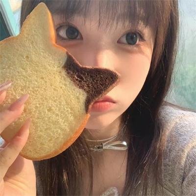 黑狐狸海报